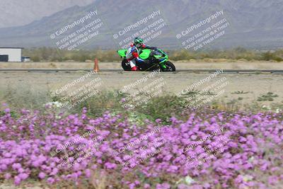 media/Feb-04-2023-SoCal Trackdays (Sat) [[8a776bf2c3]]/Turn 15 Inside Blooming (1050am)/